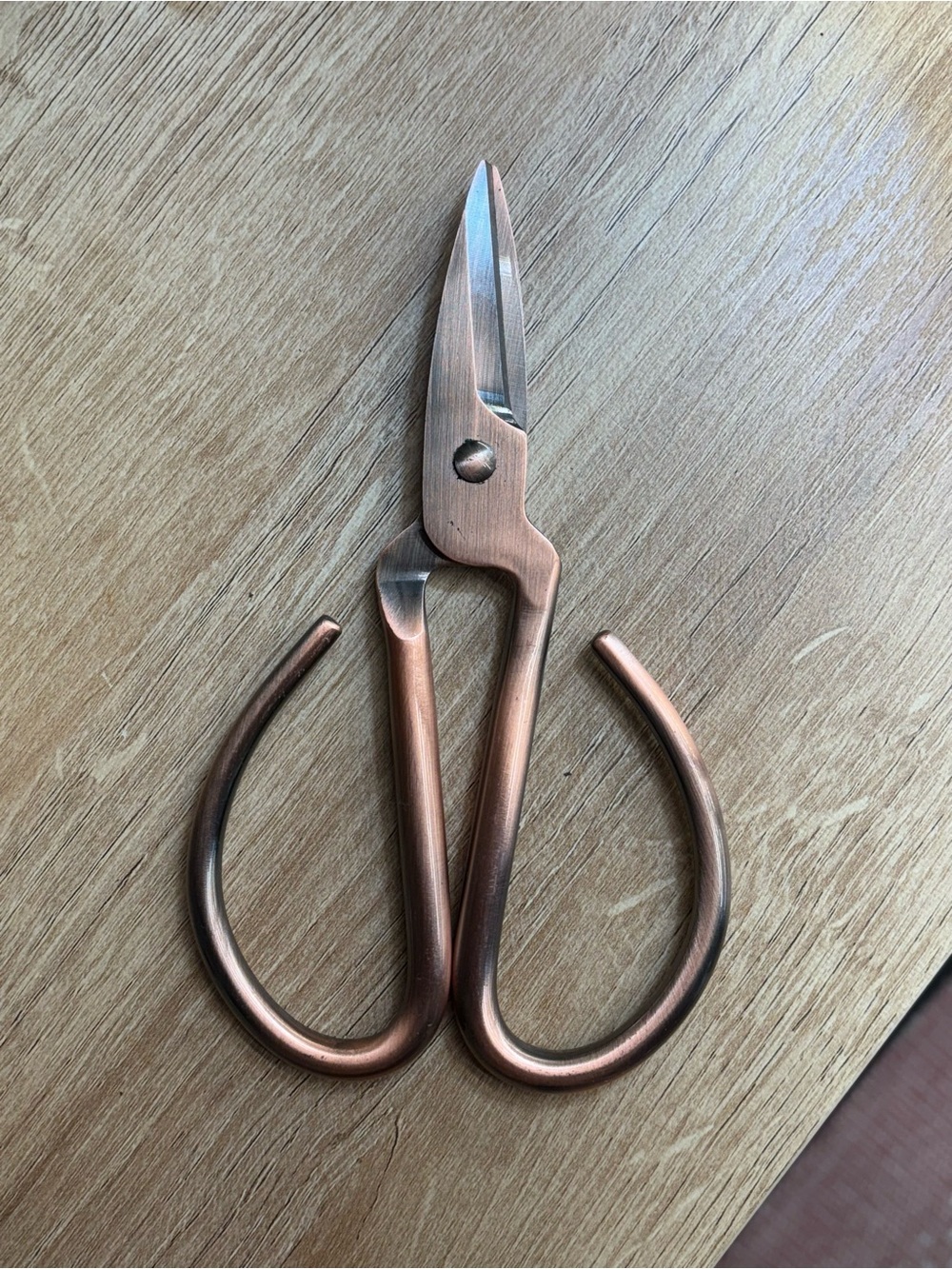 Hearth And Hand Stainless Steel Garden Shears